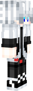 skin