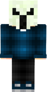 skin