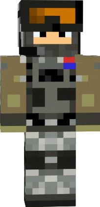 Preview of texture: Army Skin Red and Blue