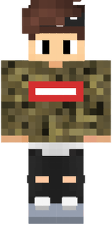 Skin