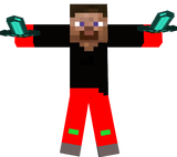 ninja steve
