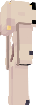 Preview of texture: moin