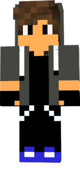 STEVE100