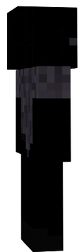 3123