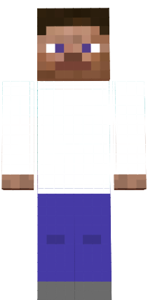 Preview of texture: steve pro