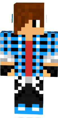 Preview of texture: david