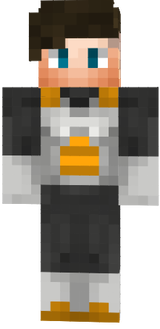 Skidor