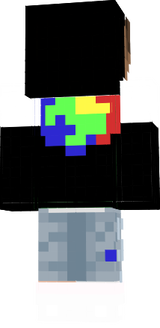 sleetor
