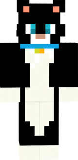 kocky