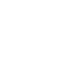 Cooked Egg