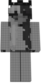 SRPHNA GREY SKIN
