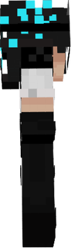 wd