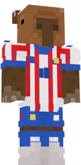 Paraguay capibara skin