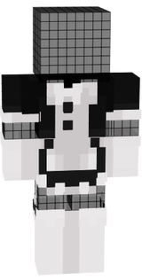 Invisible Maid