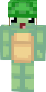 tortue 