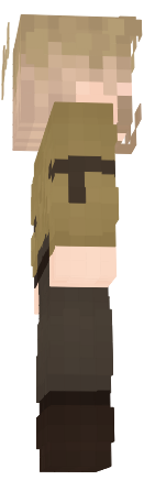 Preview of texture: t