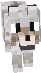 doggy