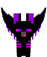 morcego