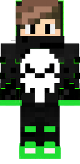 skin