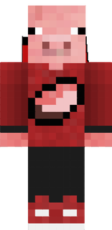 BostPig3D