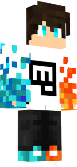 tortoros_gameer