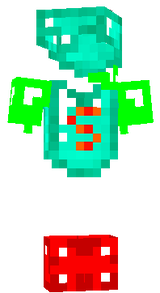 Skin Noob