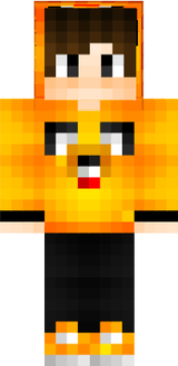 Skin 1