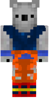 Paladyn79