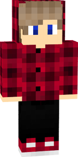 steve.png