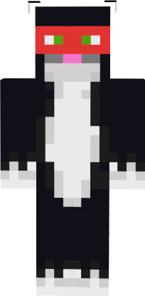 Preview of texture: Ninjakitty