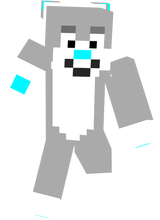 Dash Minecraft