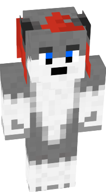 Preview of texture: huskinne