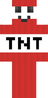  noam zoom TNT guy