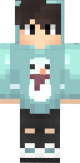 Snowy Cozy