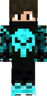 STEVE