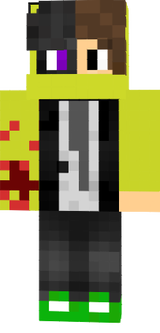 dss