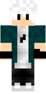 skin