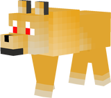 cacher