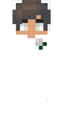 Preview of texture: wtfcriss