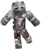 kinght