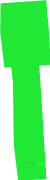 baum