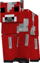 a coow