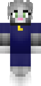 X3