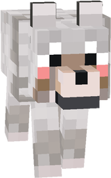 Cute wolf