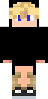 robin13233