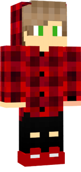 skin 334