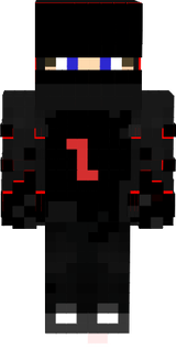 Ninja
