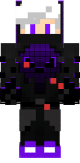IcaMC22