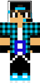 AMEER