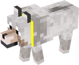 sunny the bandajin cadamix 7th dog